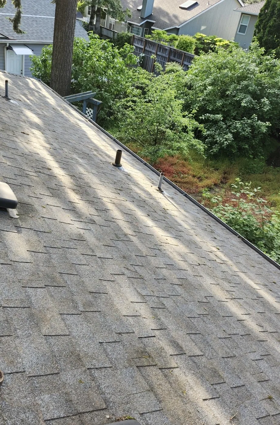 Gutter and roofline service at a Portland-area home