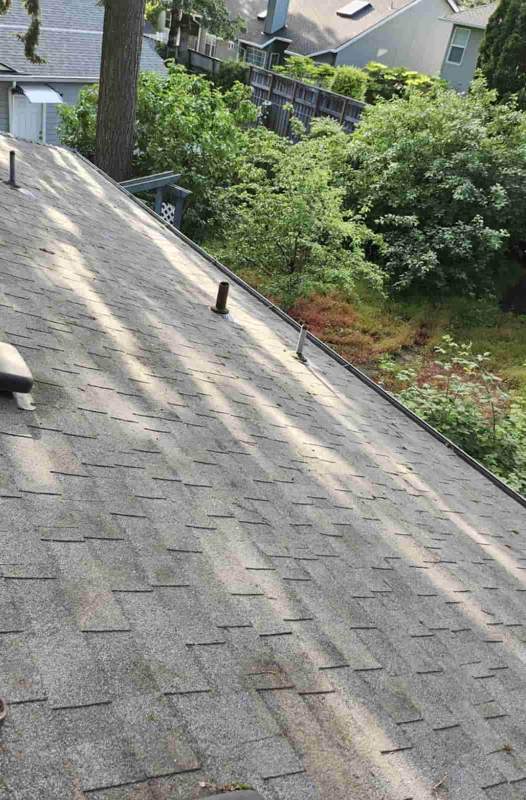 Clean asphalt-shingle roof after HomeHavenNW roof service